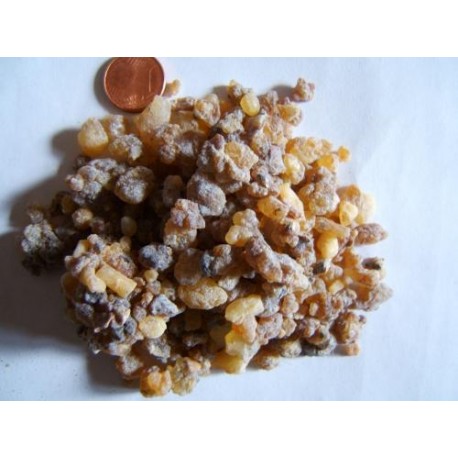 Weihrauch - Indischer Weihrauch - Boswellia serrata - 250g