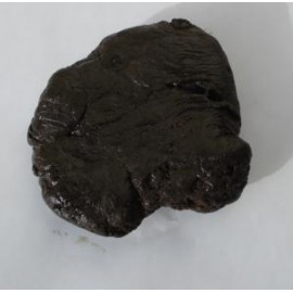 Weihrauch - Resina Ladanum - 10g