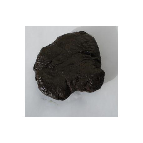 Weihrauch - Resina Ladanum - 10g