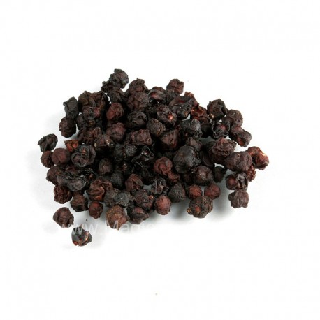 Schisandra-Frucht - Schisandra chinensis - 500g