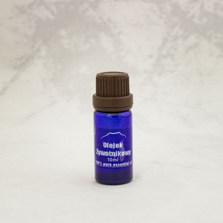 Thujaöl 100% - 10ml