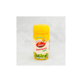 Chyawanprash light (ohne Zuckerzusatz) - 500g