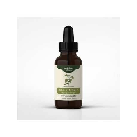 Houttuynia cordata Tinktur 1:1 - 50ml