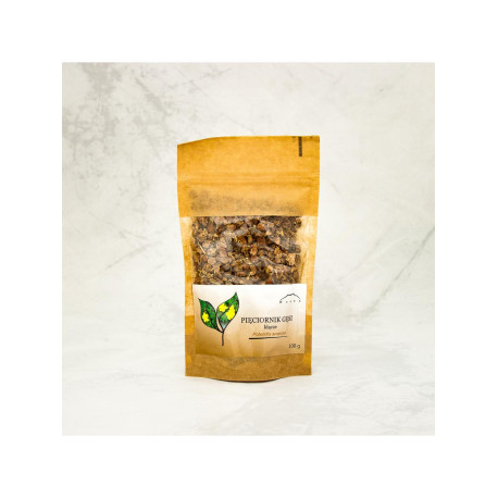 Fingerkraut-Gänse-Rhizom - 1 g geschnitten