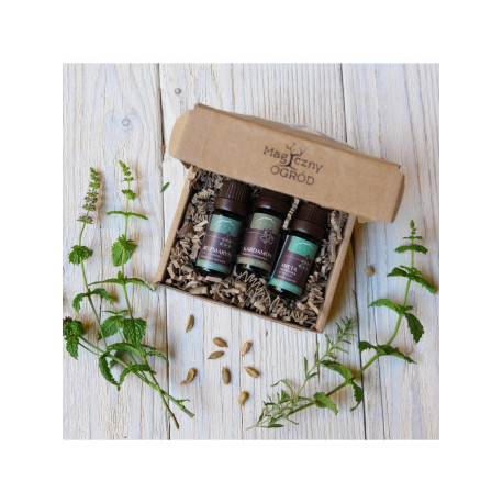 Setzen Sie einen klaren Kopf