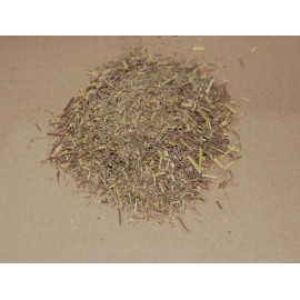 Damian Serviette - Turnera diffusa - 50g gehackt
