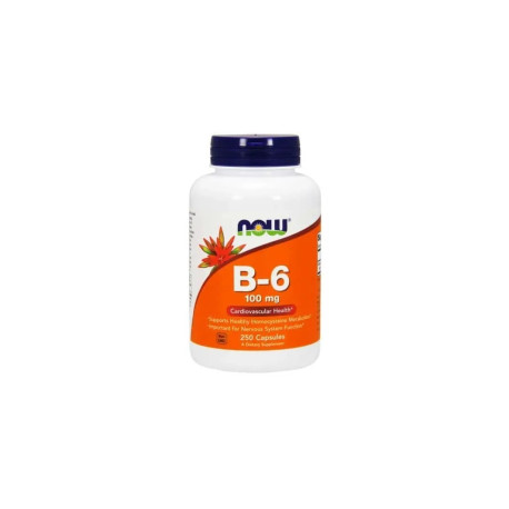 NOW FOODS Vitamin B6 100 mg 250 Kapseln