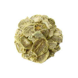 Gefriergetrocknete Kiwi - 100g