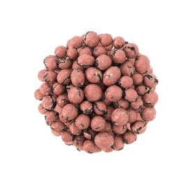 Kirschen in rubinroter Schokolade - 200g