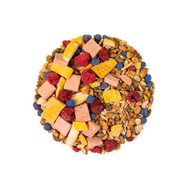 Regenbogen Müsli