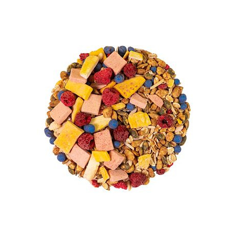 Regenbogen Müsli