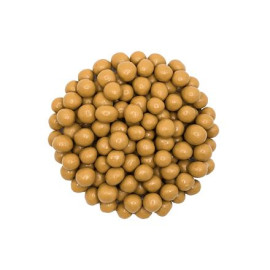 Haselnüsse in Karamellschokolade - 500g
