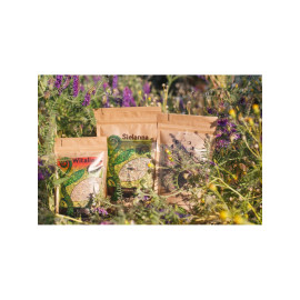 Magisches Teeservice