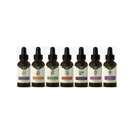 Bühners Protokoll der Lyme-Borreliose-Tinktur - ERWEITERT - 50ml