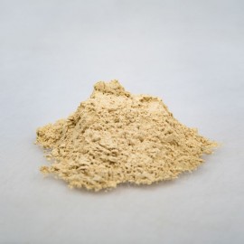 Dong quai - Archangelikawurzel - Angelica sinensis - 250g gemahlen