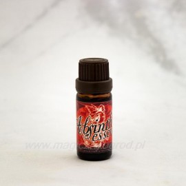 Moderner Absinth - 10ml