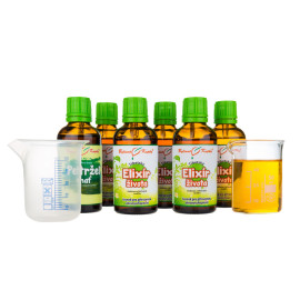 Tibetisches Lebenselixier 200 ml