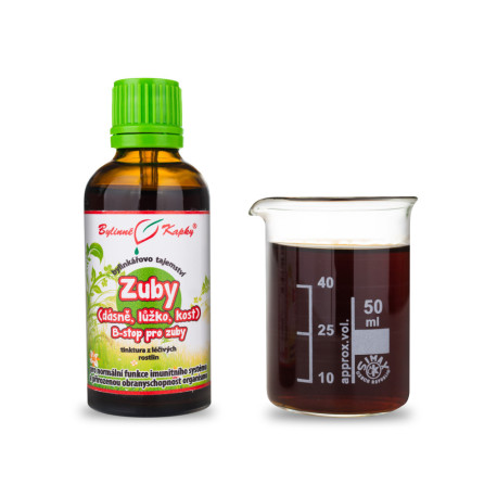 Zähne (Zahnfleisch, Bett, Knochen - B-Stop für Zähne) Tropfen (Tinktur) 50 ml
