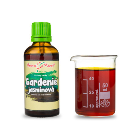 Gardenia Jasmin (TCM) - Pauls Kräutertropfen (Tinktur) 50 ml