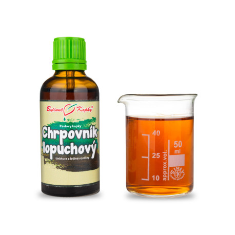 Klette Kornblume (TCM) - Pauls Kräutertropfen (Tinktur) 50 ml