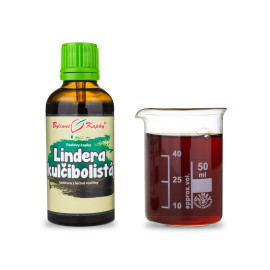 Lindera kulčibolista (TCM) - Pauls Kräutertropfen (Tinktur) 50 ml