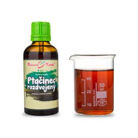 Vogelmiere (TCM) - Pauls Kräutertropfen (Tinktur) 50 ml