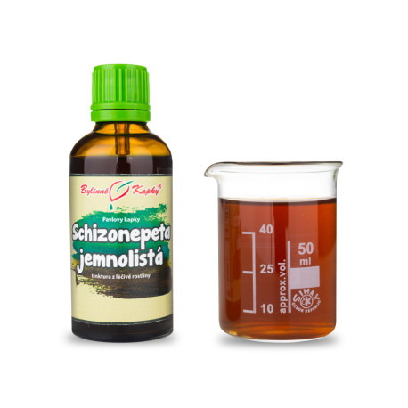 Schizonepeta (TCM) - Pavlovy Kräutertropfen (Tinktur) 50 ml