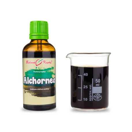 Alchornea cordifolia Tinktur 50 ml