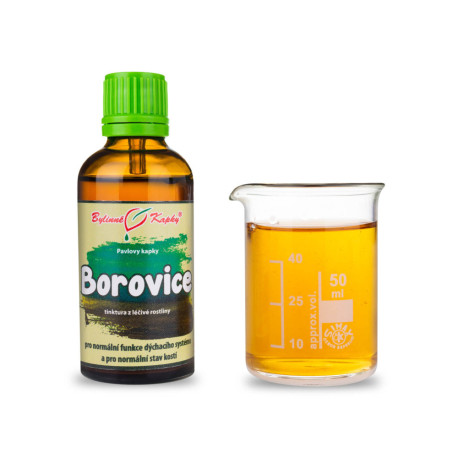Waldzirbensprossen Tropfen (Tinktur) 50 ml