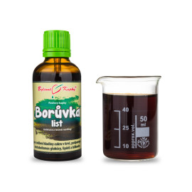 Heidelbeerblatttropfen (Tinktur) 50 ml