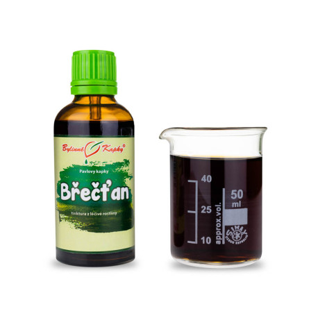 Kletter-Efeu Tropfen (Tinktur) 50 ml