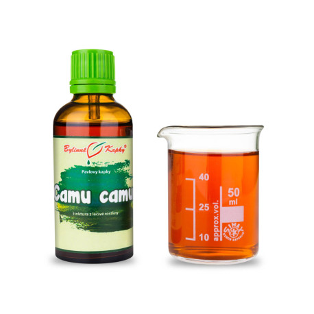Camu Camu Tropfen (Tinktur) 50 ml