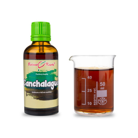 Canchalagua Tropfen (Tinktur) 50 ml