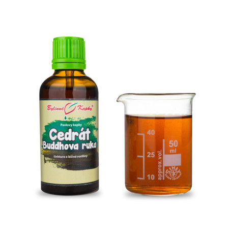 Cedrat Buddhas Hand (TCM) - Tropfen (Tinktur) 50 ml
