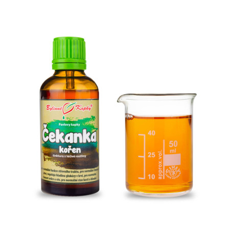 Chicorée-Wurzel Tropfen (Tinktur) 50 ml