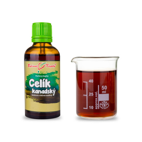 Kanadische Goldrute Tropfen (Tinktur) 50 ml