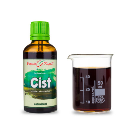 Cist gräuliche Tropfen (Tinktur) 50 ml