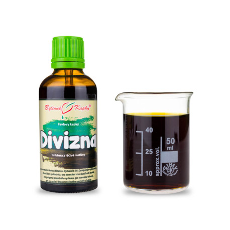 Königskerze Großblumige Tropfen (Tinktur) 50 ml