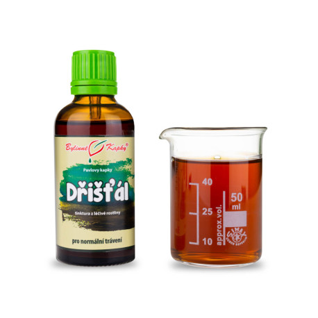 Libelle Tropfen (Tinktur) 50 ml