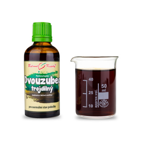 Dreiteilige Zweizahntropfen (Tinktur) 50 ml
