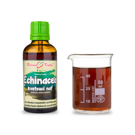 Echinacea lila Tropfen - blühender Stiel (Tinktur) 50 ml