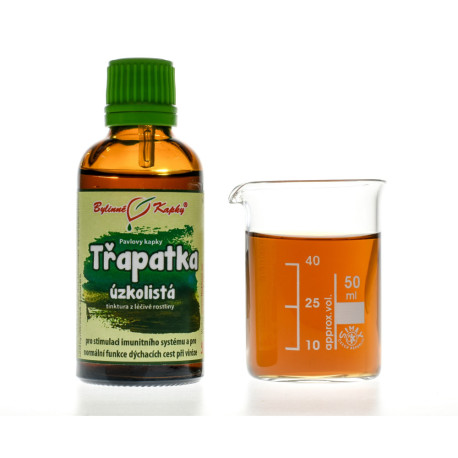 Echinacea angustifolia (Echinacea schmalblättrig) Tropfen (Tinktur) 50 ml