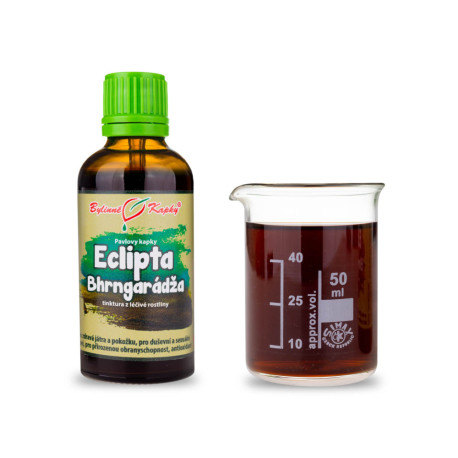 Eclipta Weiße Tropfen (Tinktur) 50 ml