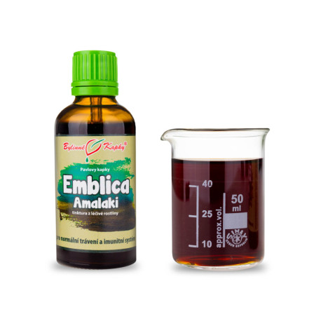 Amalaki Tropfen (Tinktur) 50 ml