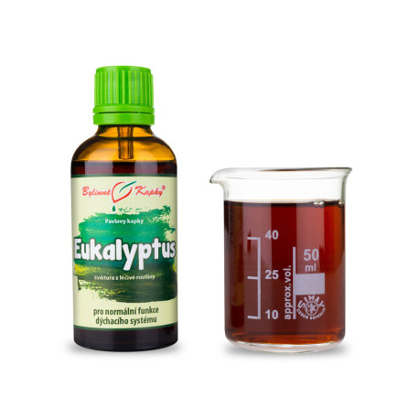 Eukalyptus Tropfen (Tinktur) 50 ml