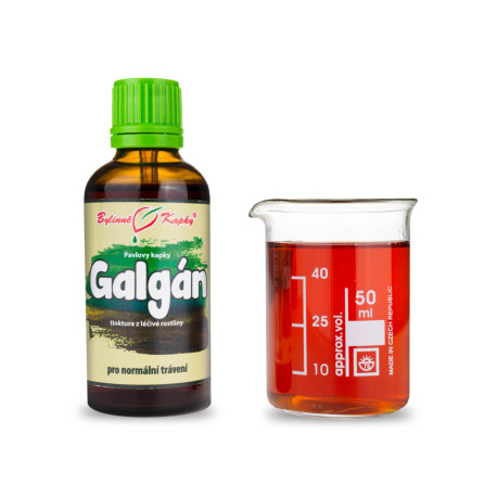 Alpínia Heiltropfen (Tinktur) 50 ml