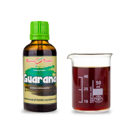 Paulinia Trinktropfen (Tinktur) 50 ml