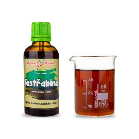 Habichtskraut Tropfen (Tinktur) 50 ml