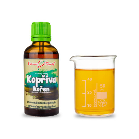Brennnessel Zweihäusige Wurzeltropfen (Tinktur) 50 ml