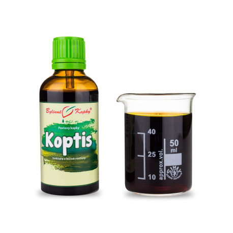 Koptis Chinesische Tropfen (Tinktur) 50 ml
